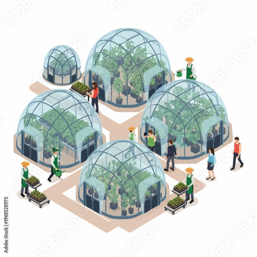 Isometric illustration of people working in modern geodesic dome greenhouses.