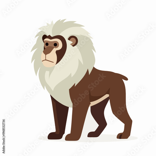 Flat vector illustration of a single lion-tailed macaque monkey with a white mane, adult male primate in a standing pose, minimalist wildlife concept, isolated on white background, outdoors.