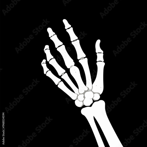 A single White Skeleton Hand reaching up in a Minimalist Gothic Flat Vector Illustration, Bone Anatomy Art on Black Background, Macabre Concept for Halloween and Esoteric Design