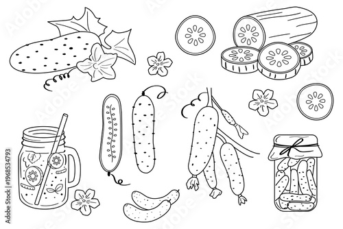 Cucumber doodle set. Hand drawn outline vegetables collection with slices, pickles, jar and detox drink