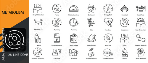 Metabolism icons set. Includes symbols of digestion, energy conversion, enzymes, cells, nutrition, and metabolic processes. Editable stroke. Vector illustration.