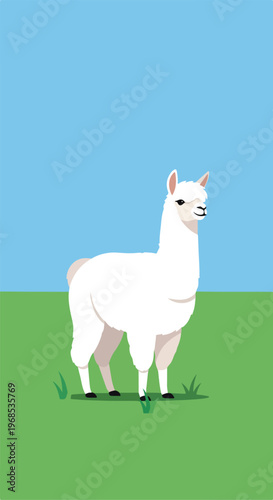 A flat vector illustration of a cute white llama standing on a green grass field