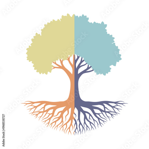 Split Tree with Two Colors and Roots - Concept of Growth, Nature, and Duality
