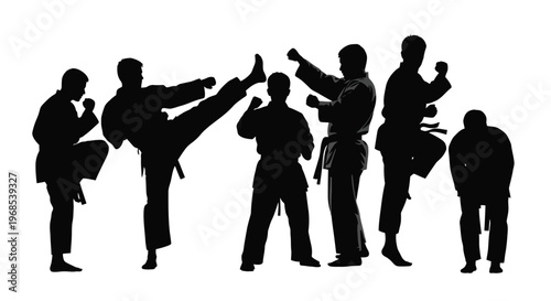 Silhouetted group practicing martial arts showcasing dynamic kicks and stances
