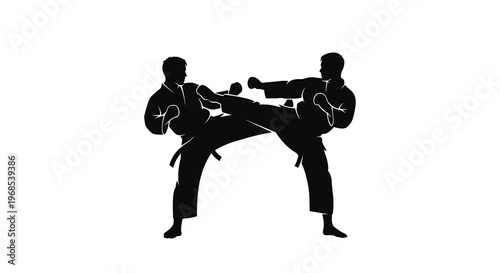 Silhouette of two martial artists practicing a kick and block