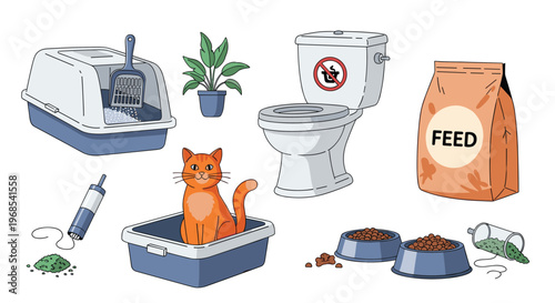Cat care essentials featuring an orange cat, a litter box, bowls of food, and grooming tools for pet owners.
