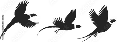 Flying Pheasants Black Silhouette Vector Illustration Collection Of Three Birds In Motion Isolated On White Background For Hunting Wildlife Nature And Outdoor Design Projects