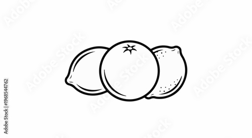 Stylized line art of an orange centered between two lemons
