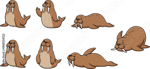 vector illustration of walrus funny cute cartoon mascot character cartoon with 7 poses