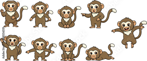 vector illustration of tamarin funny cute cartoon mascot character cartoon with 9 poses 01