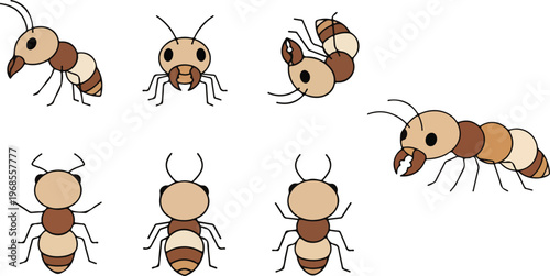 vector illustration of termite funny cute cartoon mascot character cartoon with 7 poses