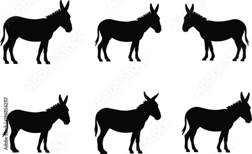 Donkey silhouettes set, farm animal mule poses standing livestock vector illustration isolated design