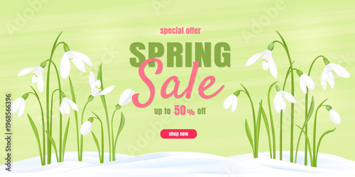 Horizontal vector banner for spring sale with blooming snowdrops and green background.