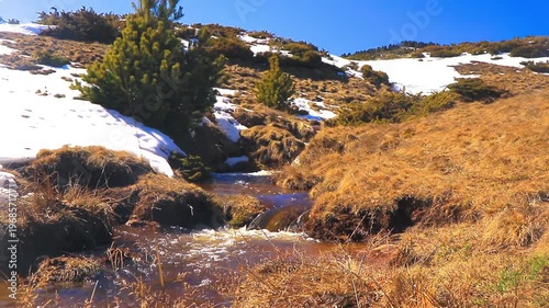 Stream in Font Romeu at the end of winter, flowing through the fields.
20-second fixed-shot video. Water running through the Pyrenees in winter.

