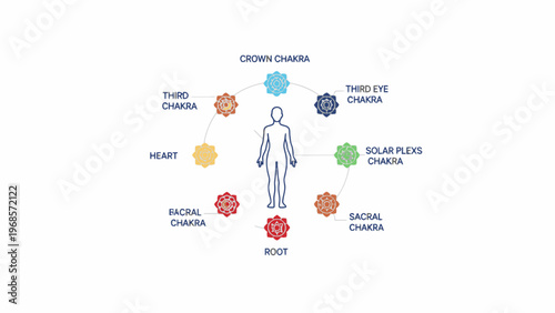 Seven Chakras System Diagram with Human Silhouette on White Background