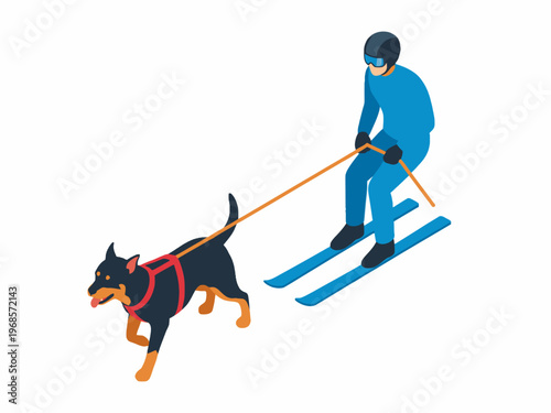 Isometric skijoring athlete with dog pulling skier on white background