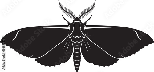 black butterfly silhouette, white background