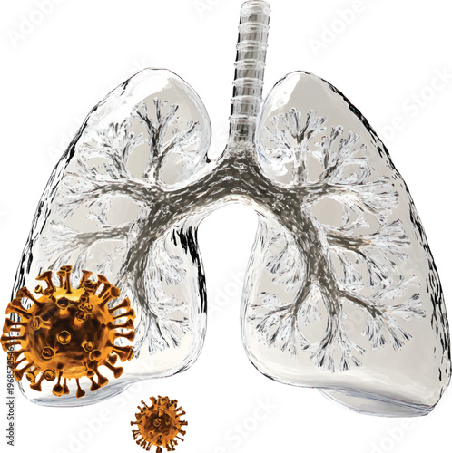 3d cartoon, clip art, translucent glass effect of two lungs, on a transparent background