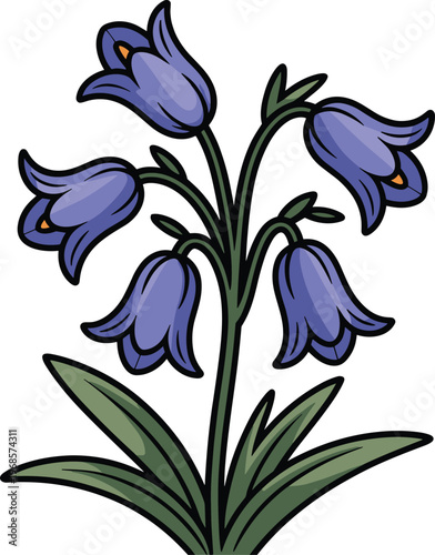 Bluebell Flower Stem with Leaves Isolated on White Background