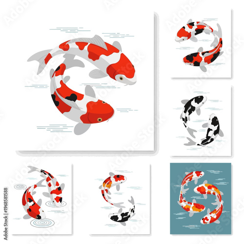 Koi Fish Swimming in Yin Yang Symbol, Japanese Culture, Aquatic Animals
