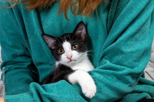 mały kotek czarno-biały na rękach
