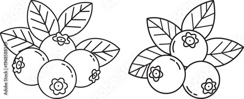 Blueberry bunch line art with food and drink with dark blue