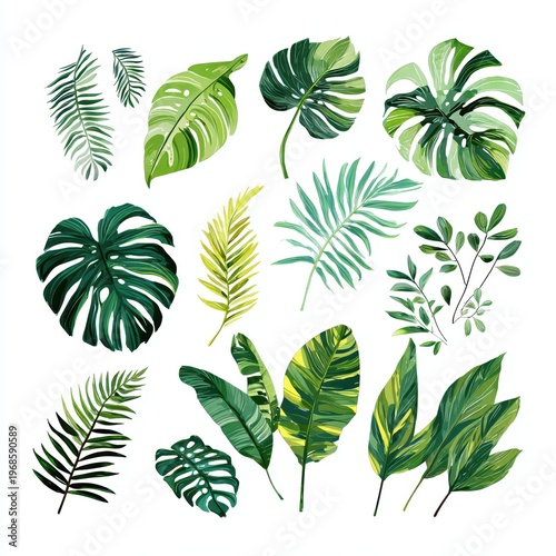 Tropical green leaves set exotic rainforest foliage jungle plant elements Monstera palm banana leaf illustration for summer invitation web design
