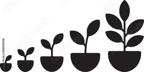 Plant Growth Stages,Seed to Tree Evolution Silhouette Vector Set