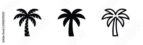 Palm tree icon set in different styles, tropical plant symbol for beach and summer vacations
