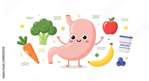 A cheerful cartoon stomach character surrounded by healthy food and a probiotic bottle on a clean white background with a joyful and educational mood