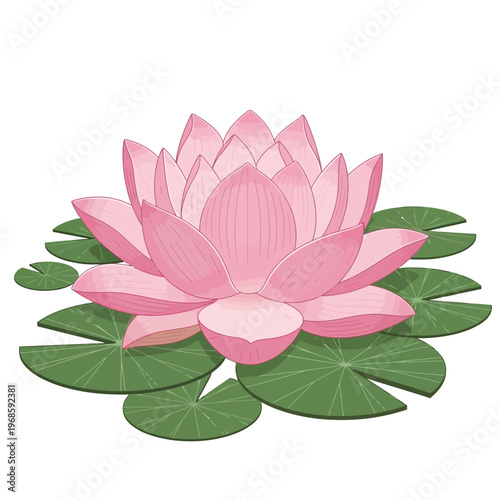 A pink lotus flower blooms on green lily pads in calm water.