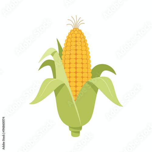 Stylized ear of corn with green husks and golden kernels, isolated on white