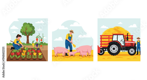 Agriculture and farming scenes depicting a woman harvesting vegetables, a man feeding pigs, and another man driving a red tractor.