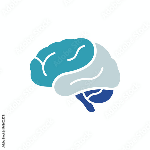 Stylized graphic of a human brain in blue and gray, with cerebral cortex and cerebellum