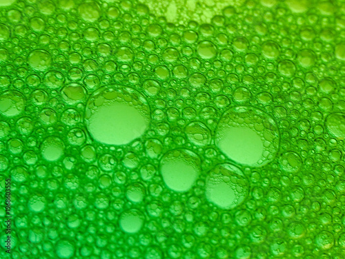 Wallpaper Mural Close-up of numerous translucent green bubbles of various sizes on a green background with a shallow depth of field. Torontodigital.ca