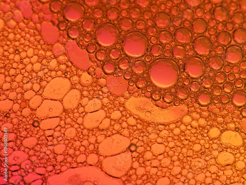 Wallpaper Mural Macro close-up of numerous bubbles in various sizes and shades of orange, red, and pink, with a shallow depth of field. Torontodigital.ca