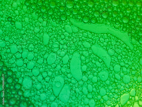 Wallpaper Mural Macro close-up of green water droplets on a leafy surface with a shallow depth of field and vibrant green tones. Torontodigital.ca