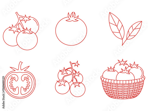 Tomato set outline sketch vector illustration
