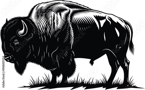 American Bison Black Silhouette Vector Illustration with Detailed Fur Texture