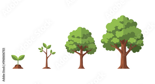 Illustrative depiction of tree growth stages from seedling to mature form presented as a clean silhouette high quality professional detailed modern