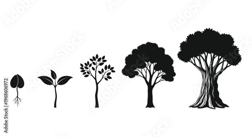A visual progression of tree growth from seedling to mature form depicted in stark contrast silhouette high quality professional detailed modern