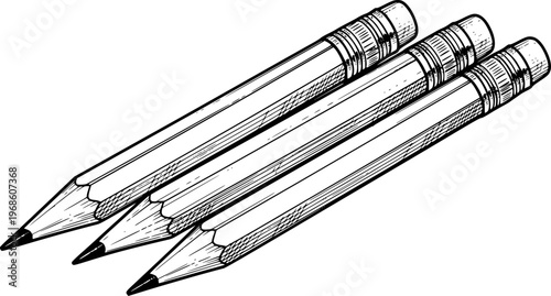 Sharpened graphite pencils with erasers in a hand drawn style a white background