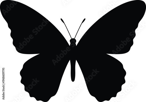 A set of vector silhouette illustrations featuring a butterfly in a simple line art design concept