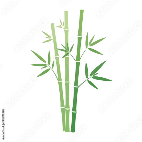 Green bamboo stalks with leaves, vector illustration of bamboo plant