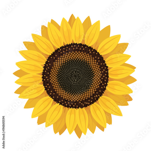 Vibrant yellow sunflower bloom with intricate seed head detail, representing summer's natural beauty and cheerfulness
