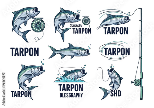Tarpon Fish Logo and Illustration Set: Saltwater Fly Fishing Icons, Game Fish Graphics, and Angling Mascot Designs for Sport Fishing Brands