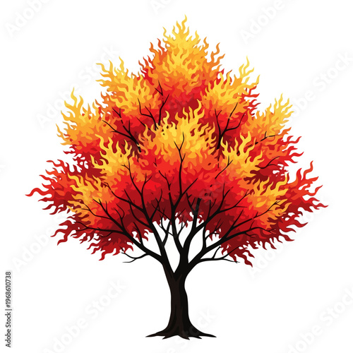 Illustration of a vibrant tree with fiery red and orange leaves against a white background