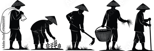 Traditional Asian farmers in conical hats working in rice fields silhouette set, featuring harvesting, planting, carrying sacks, and manual agricultural labor scenes