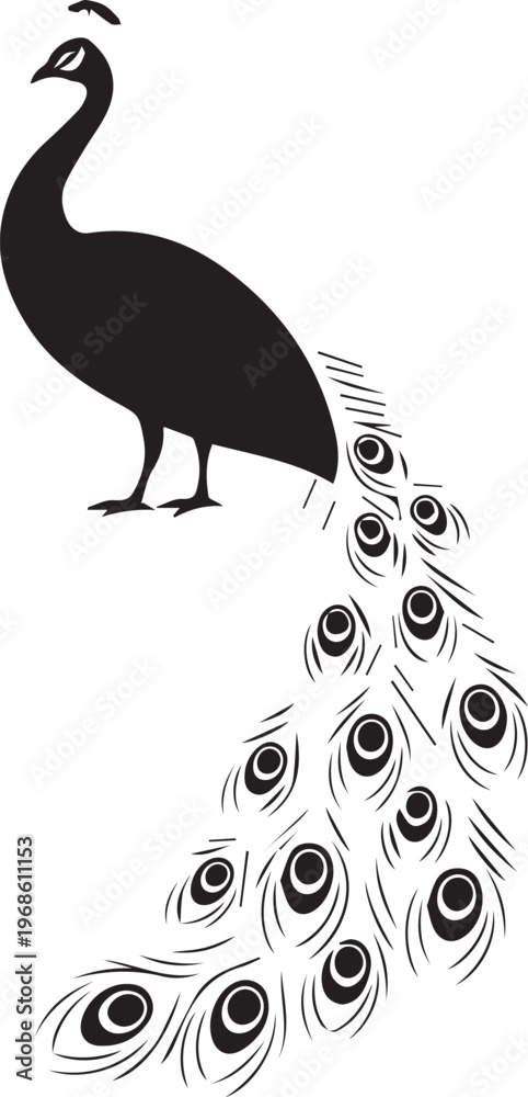 Fototapeta premium A black peacock silhouette with a vibrant tail on a 