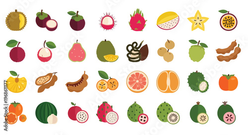 A vibrant collection of various tropical and exotic fruits, some whole and some sliced, presented in a clean flat design style.